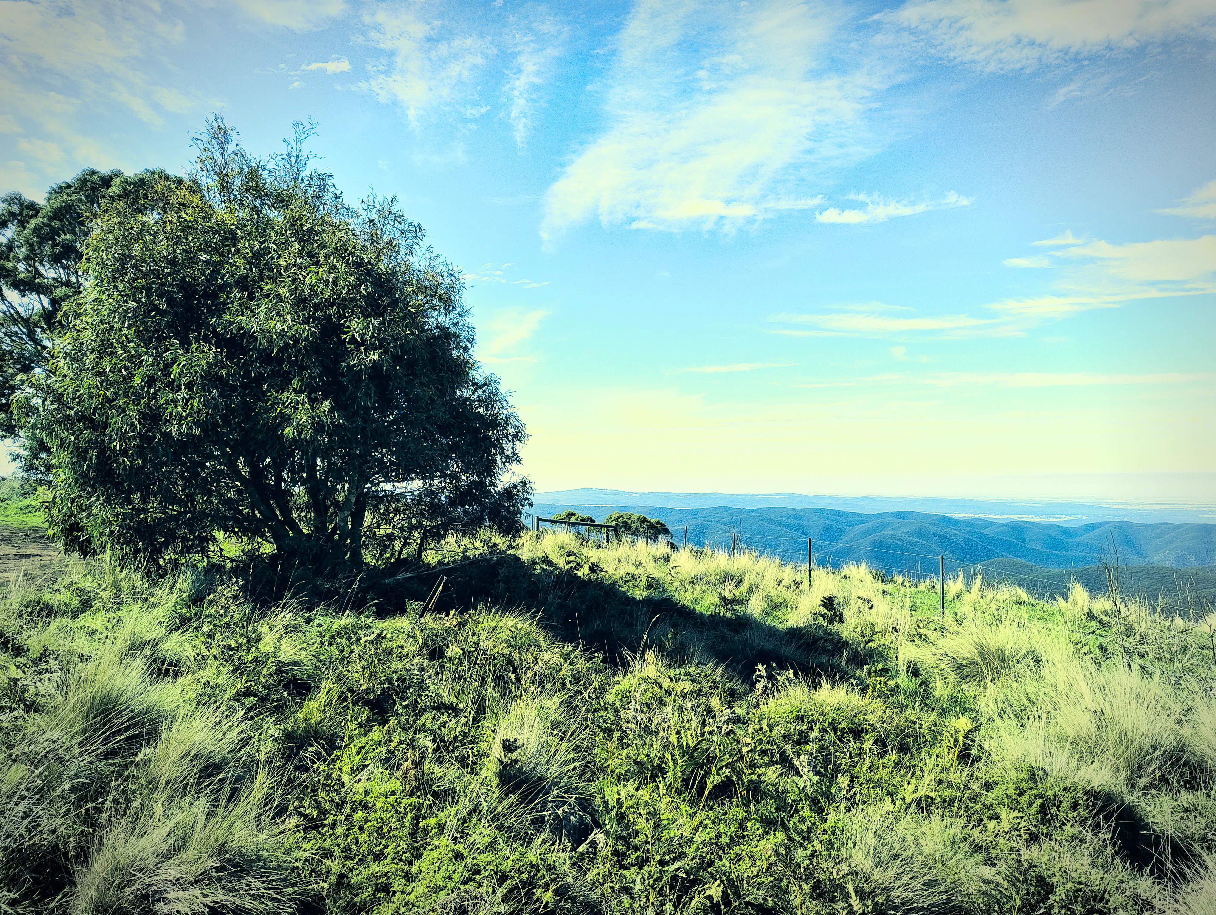 Mt Blackwood Summit #001