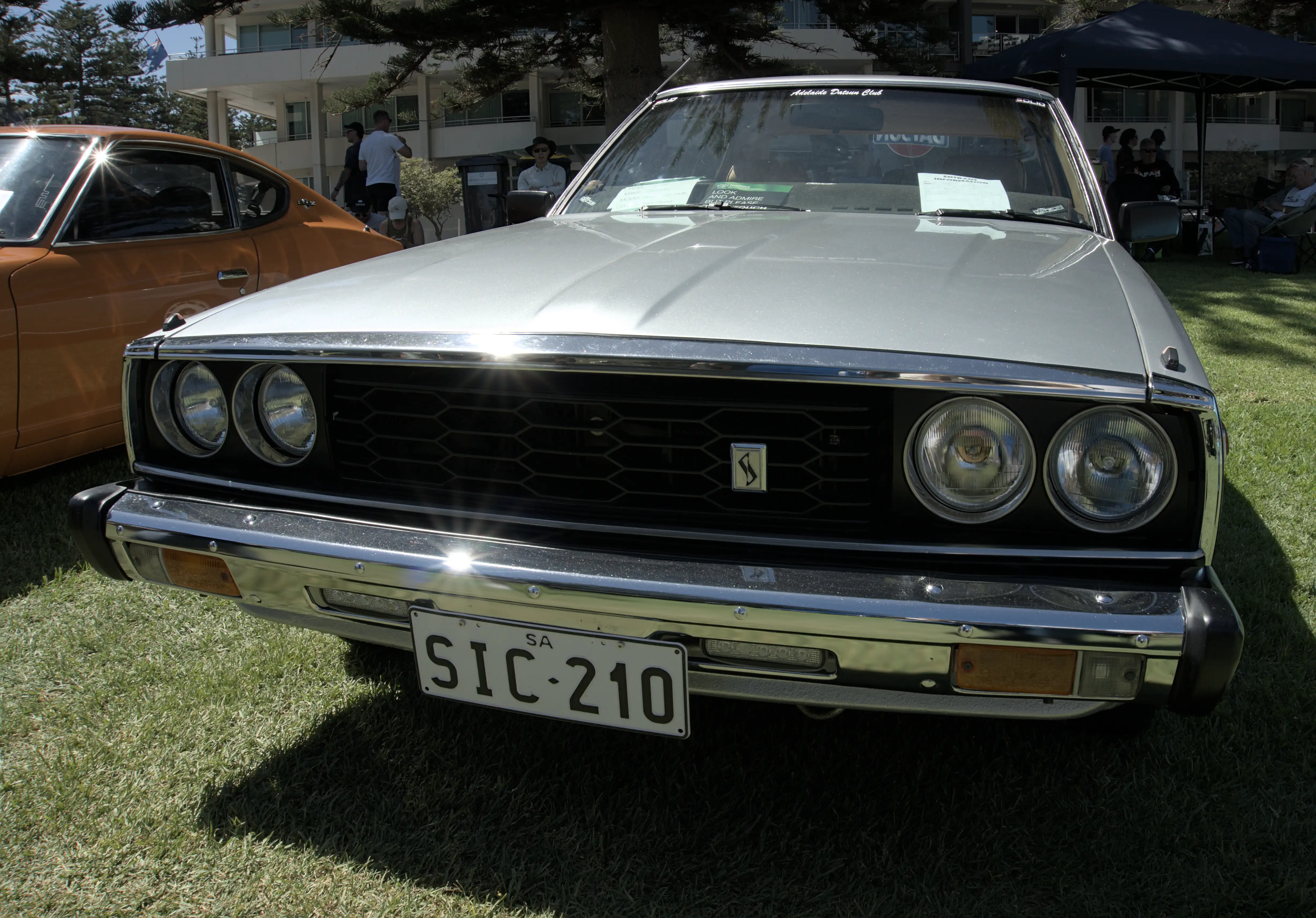 Silver Sun